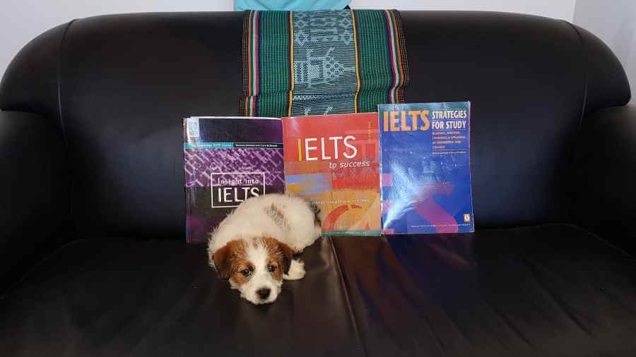 kenta studies English at AICOL