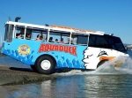 aquaduck1
