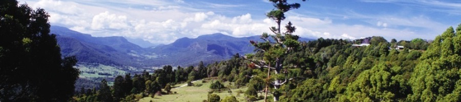 The beautiful Gold Coast hinterland