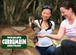 Currumbin Wildlife Sanctuary